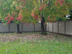 Green Teak & Adobe 1
