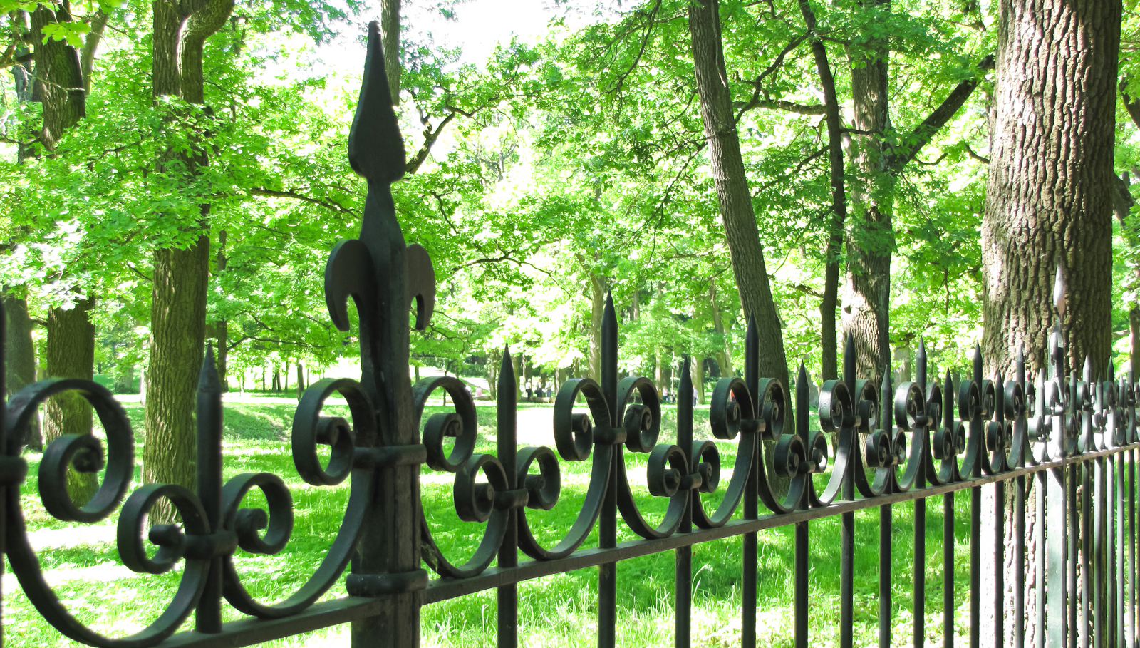 Iron Fencing